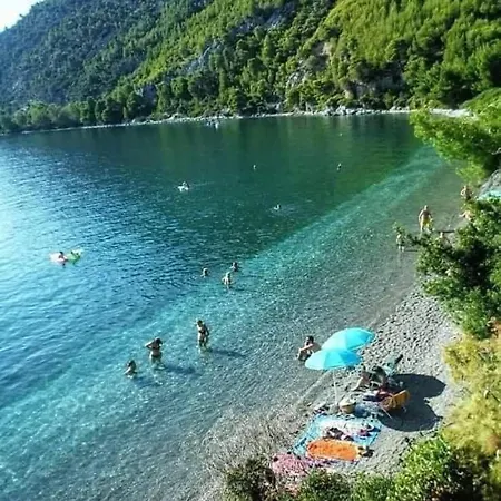 Joy's House * Desfina